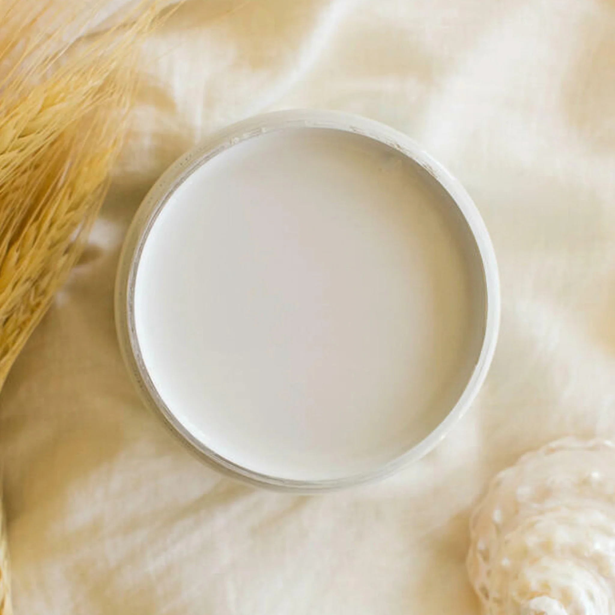 Dixie Belle Oyster Silk All-in-One | Furniture Paint