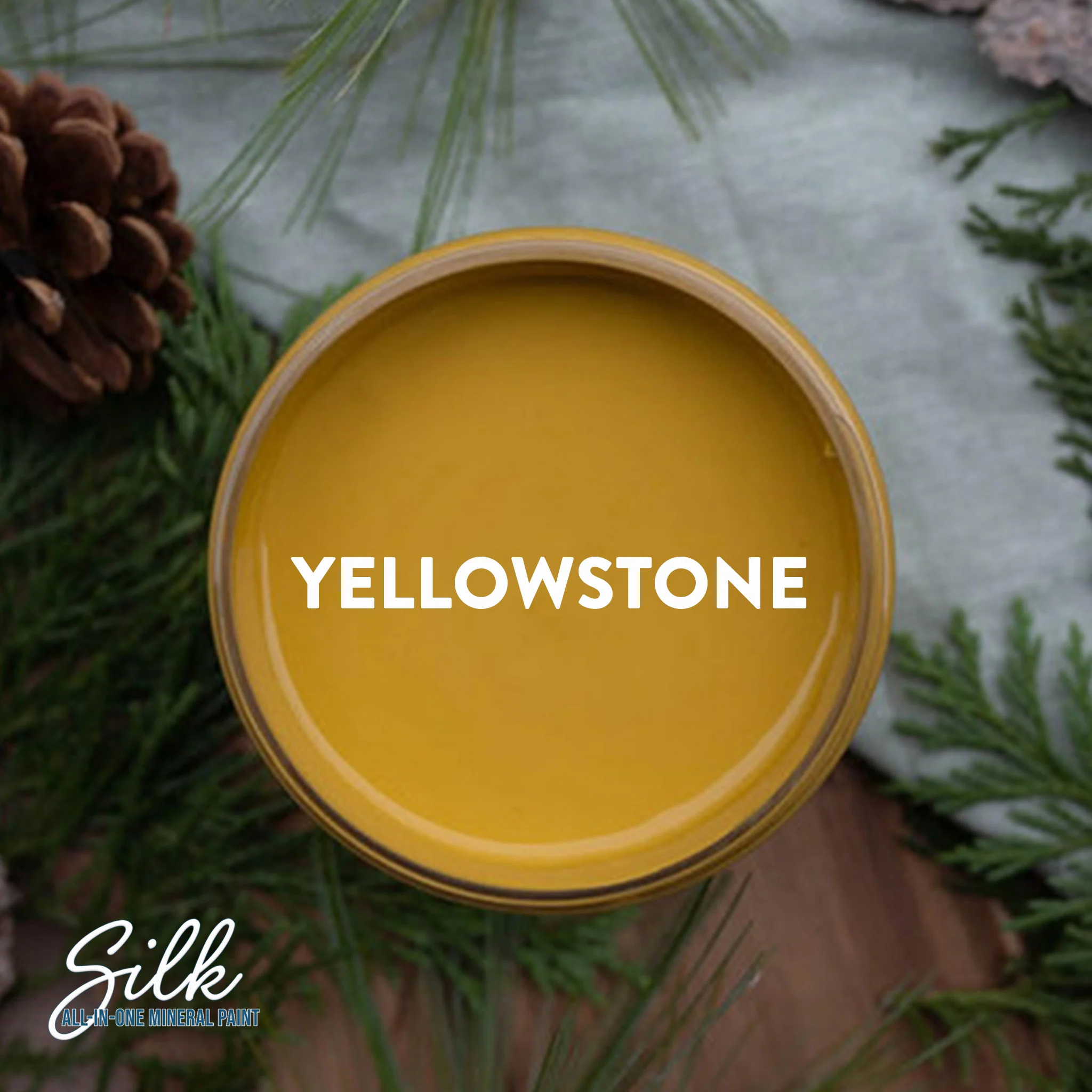 Dixie Belle Yellowstone Silk All-in-One | Furniture Paint - Image 5