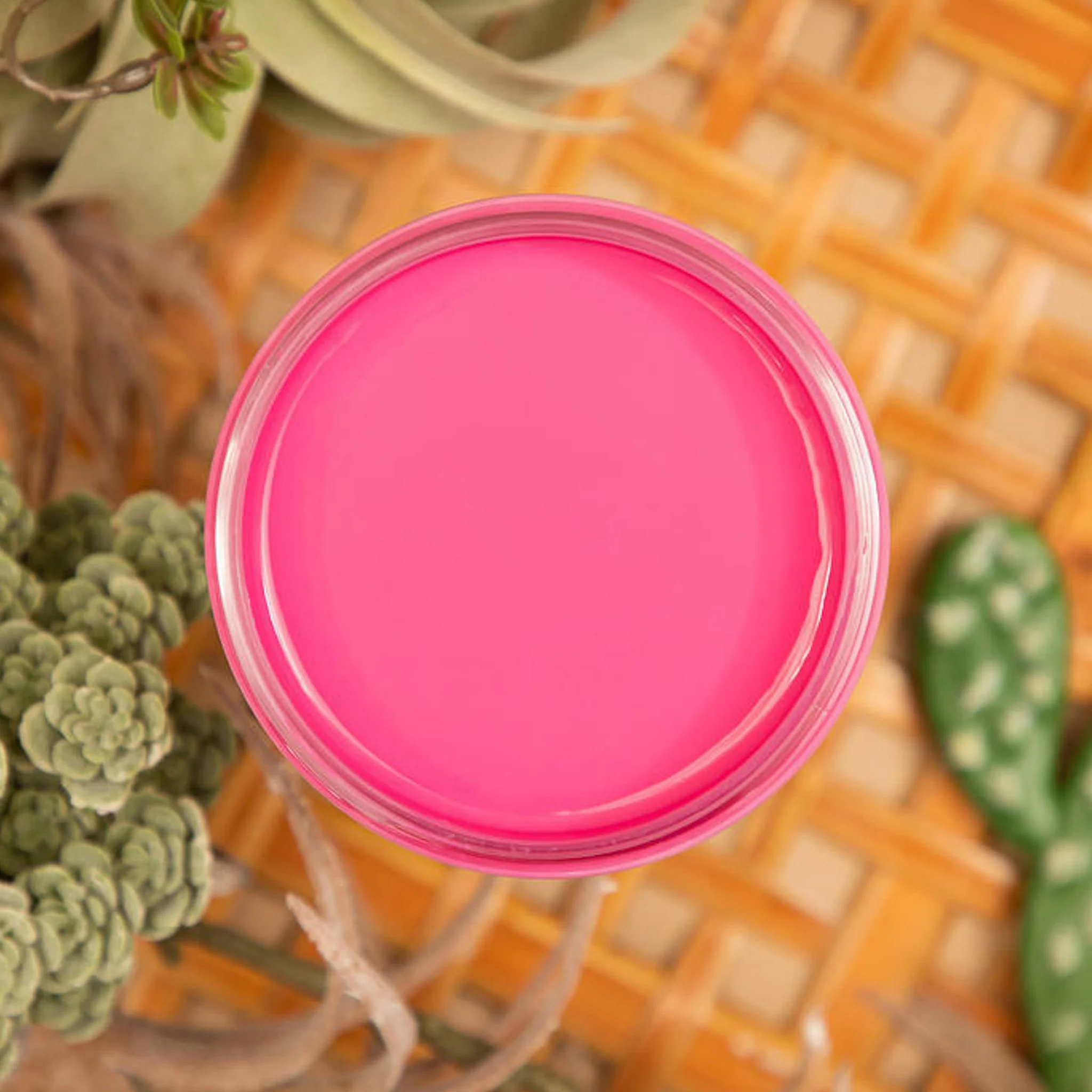 Dixie Belle Prickly Pear Silk All-in-One | Furniture Paint
