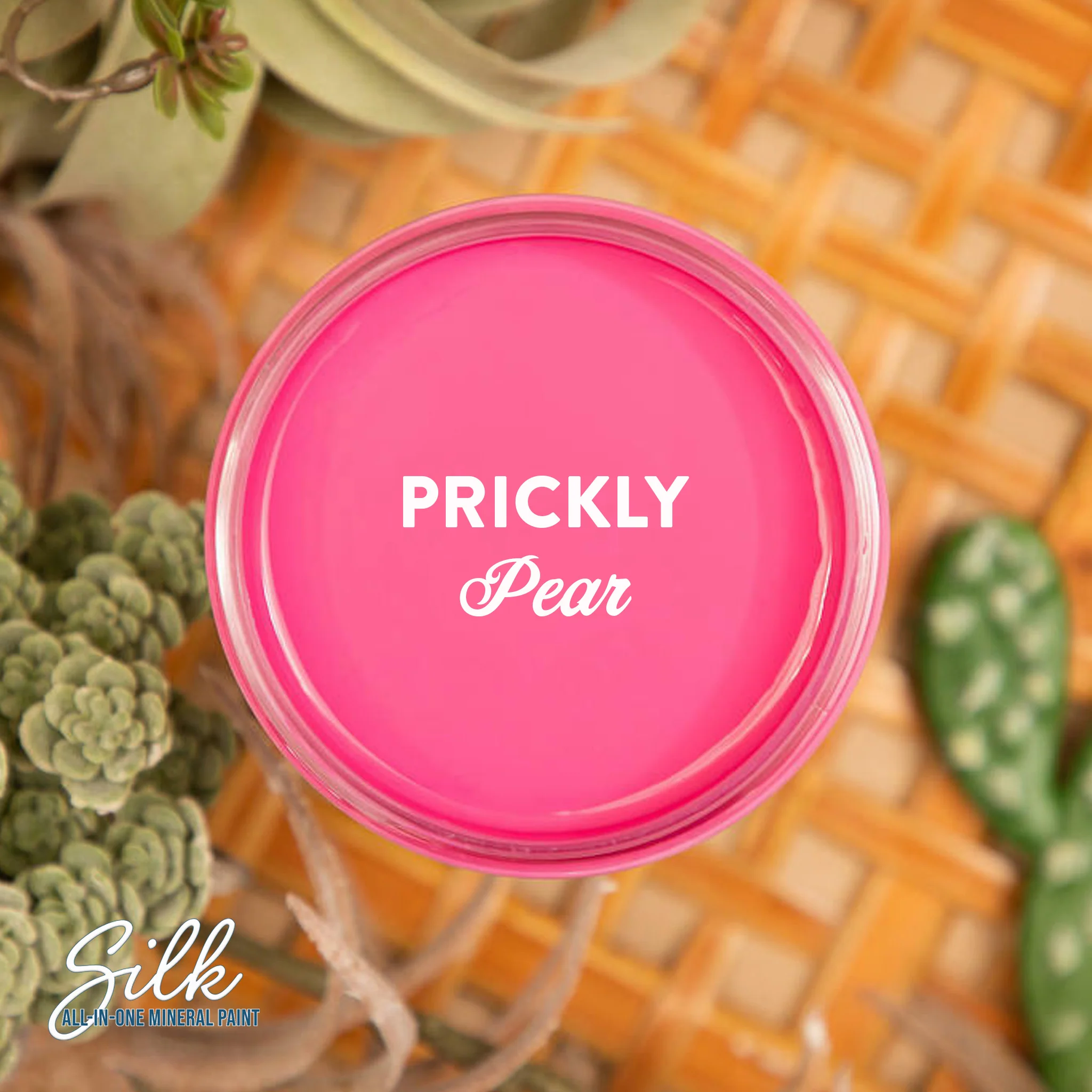 Dixie Belle Prickly Pear Silk All-in-One | Furniture Paint - Image 5
