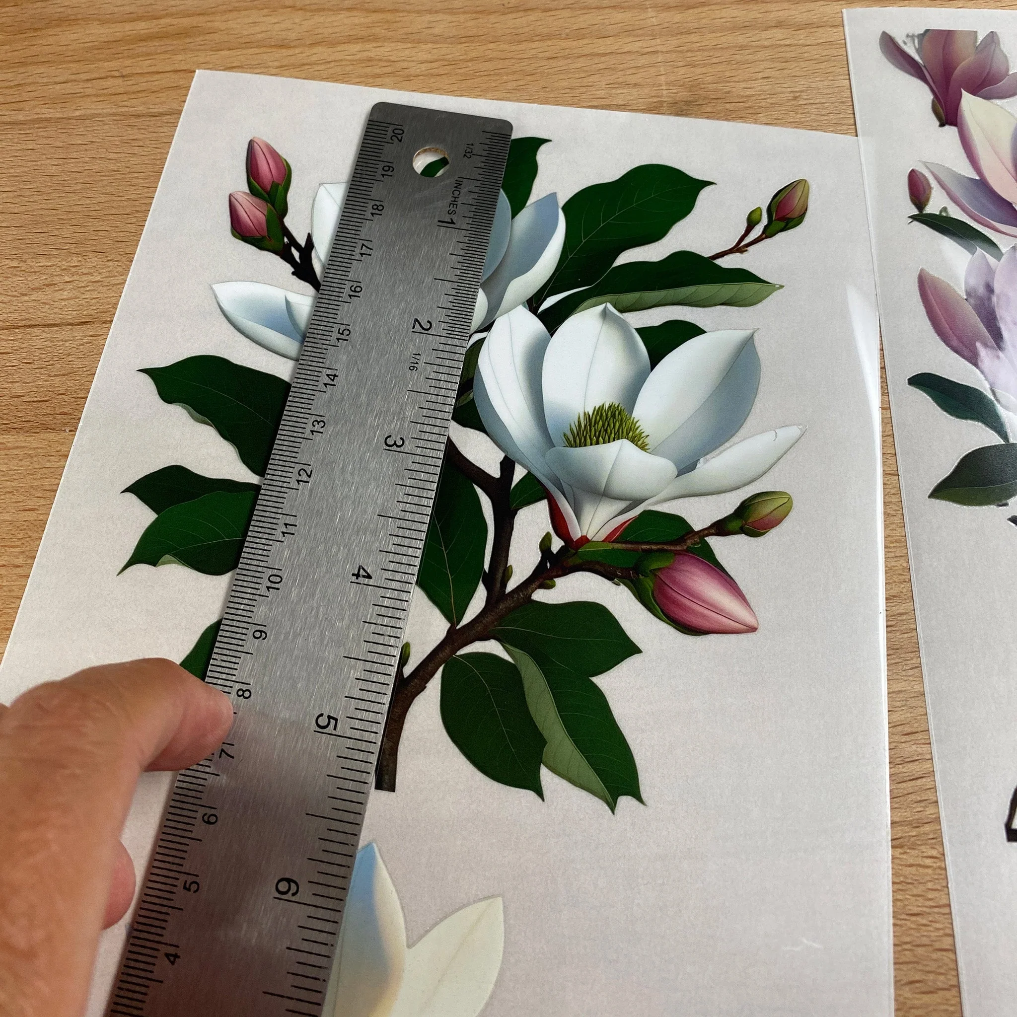 Dadarkar Art - White Magnolias Small Furniture Transfer (3 Sheets, 6x12 Each) - Image 3
