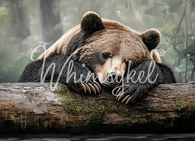 Whimsykel - Tuckered Teddy Decoupage Paper (21x29 Size) - Image 3